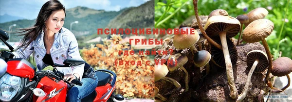 прущая мука Алзамай