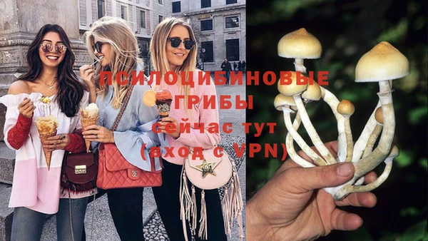 гидропоника Алексин