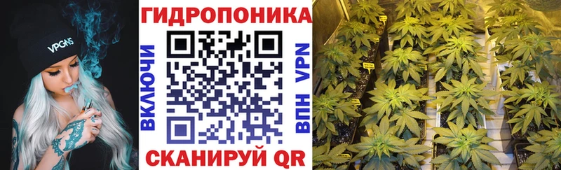 Каннабис SATIVA & INDICA  blacksprut сайт  Волхов 